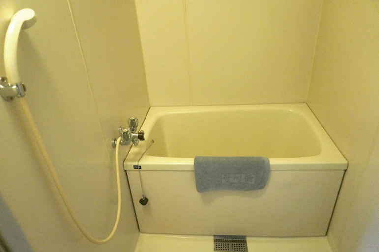 Bathroom 5, Gero Onsen Bosenkan, Gero