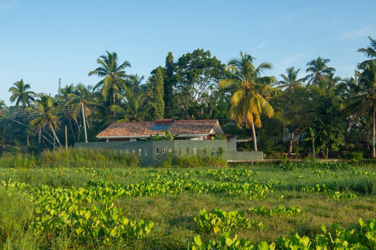 Room 2, Romantic Honeymoon Villa Overlooking Rice Fields, Akmeemana