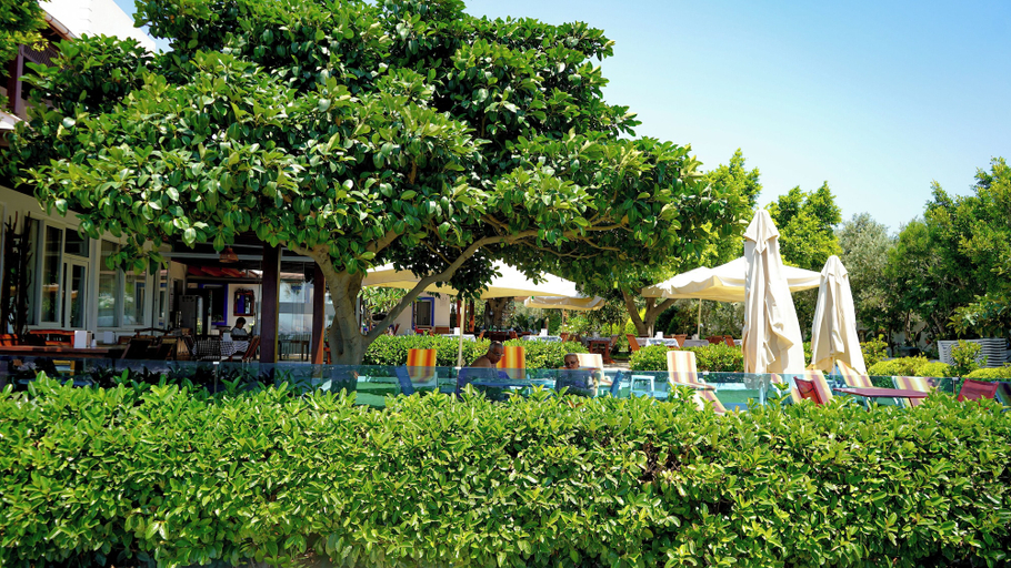 Exterior & Views 2, Yüksel Pansiyon, Bodrum