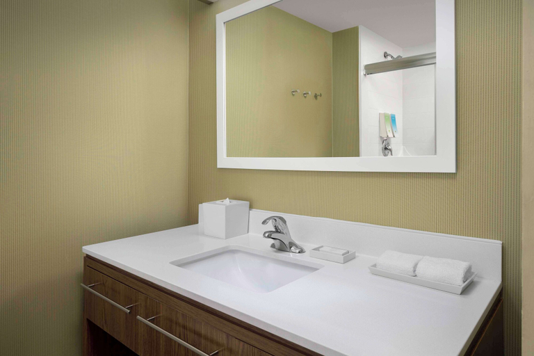 Bathroom 4, Home2 Suites by Hilton Summerville, Berkeley