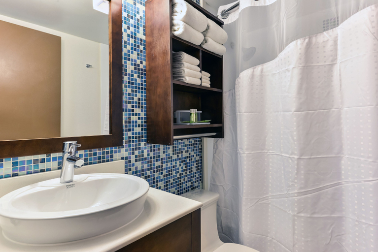 Bathroom 5, Holiday Inn Express WASHINGTON DC N-SILVER SPRING by IHG, Montgomery