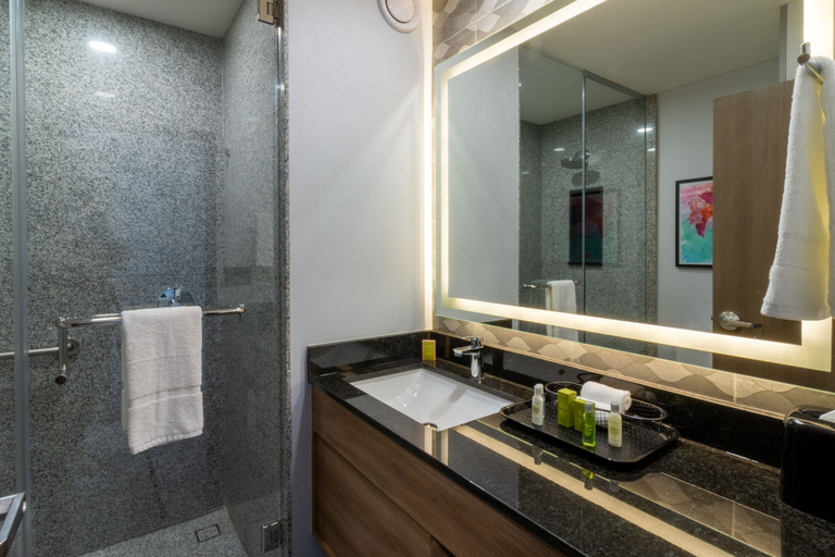 Bathroom 4, Hampton by Hilton Aguascalientes Downtown, Aguascalientes