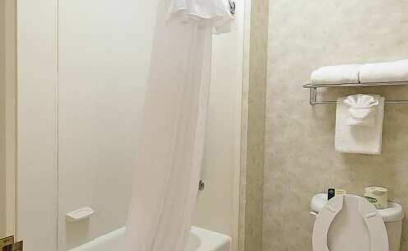 Bathroom 4, Homewood Suites by Hilton Indianapolis-Airport/Plainfield, Hendricks