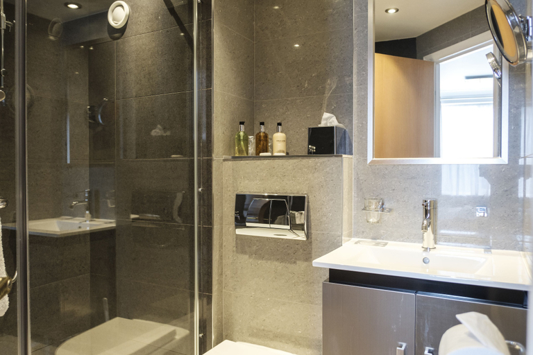 Bathroom 4, The Fox & Goose Hotel, London