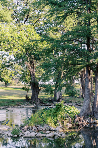 Others 5, Cation on the Guadalupe, Comal