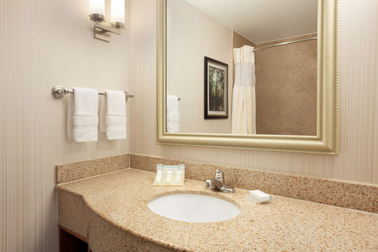 Bathroom 4, Hilton Garden Inn West Monroe, Ouachita