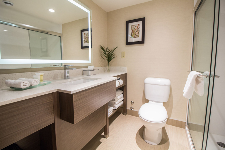 Bathroom 4, Victoria Inn Hotel and Convention Center Winnipeg, Division No. 11