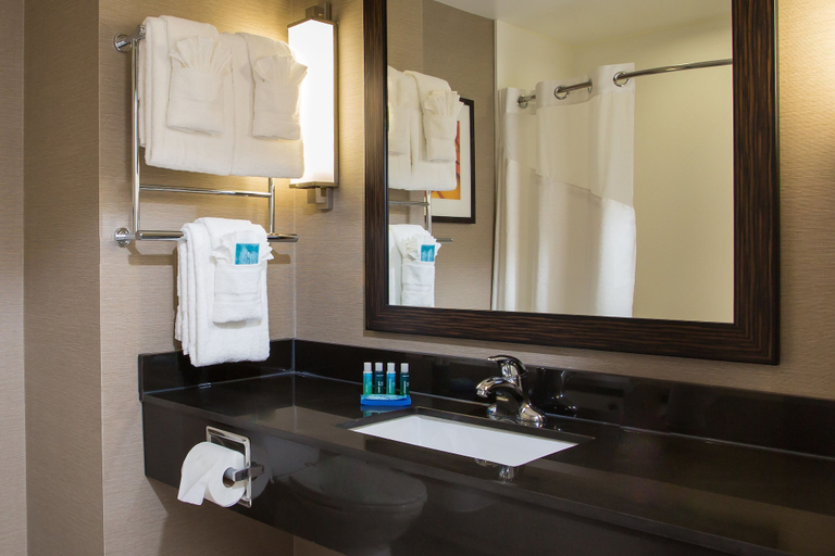 Bathroom, Holiday Inn Express SPRINGFIELD DOWNTOWN by IHG, Hampden