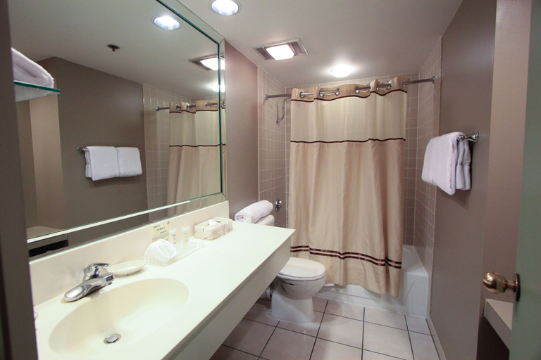 Bathroom 4, Crockett Hotel, Bexar
