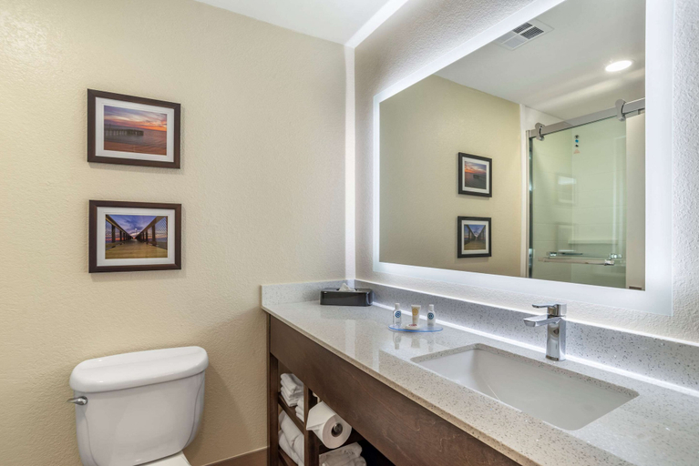 Bathroom 5, Comfort Inn & Suites Millbrook - Prattville, Elmore