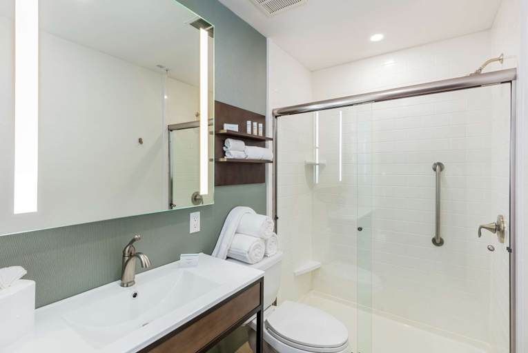 Bathroom 4, Hilton Garden Inn Davis Downtown, Yolo