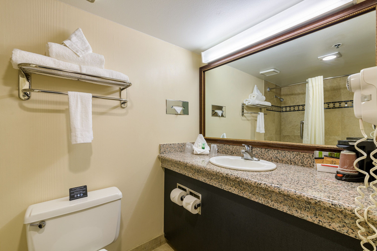 Bathroom 4, Grand Vista Hotel, Mesa
