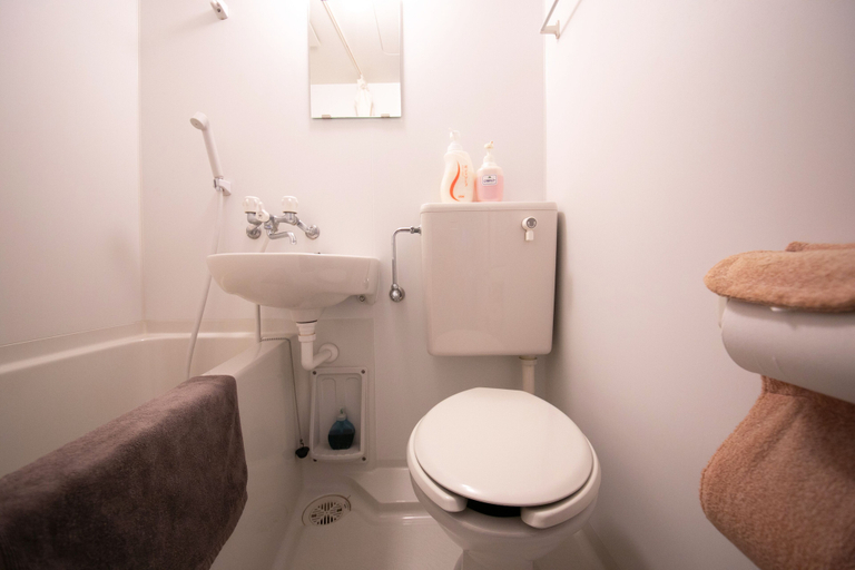 Bathroom 3, Grand Hotel Seifuso, Ōmuta