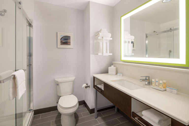 Bathroom 4, Hampton Inn & Suites Raleigh Midtown, Wake