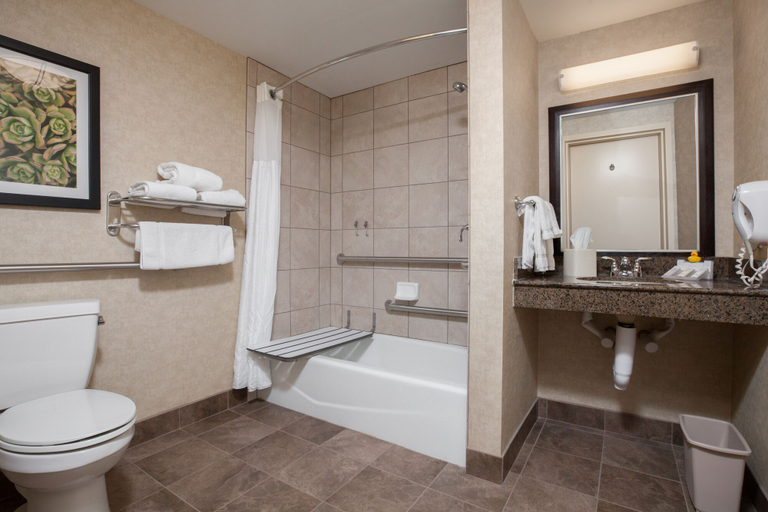 Bathroom 5, Hilton Garden Inn Fargo, Cass