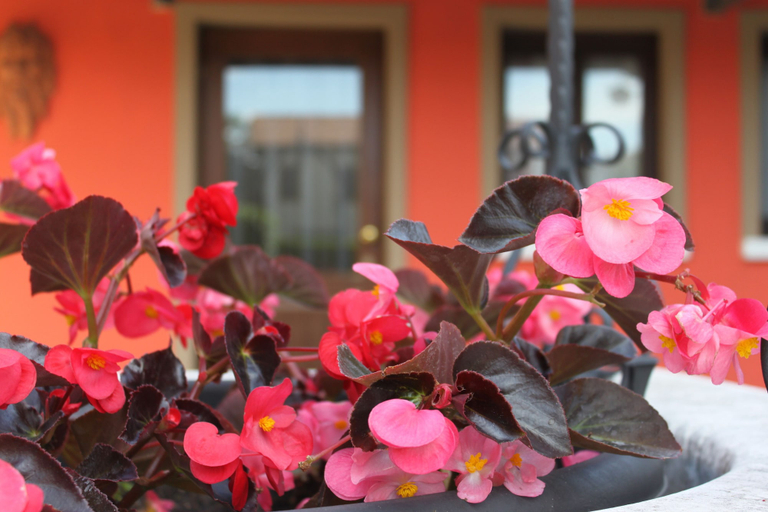 Exterior & Views 2, Hotel Villa Stucky, Treviso