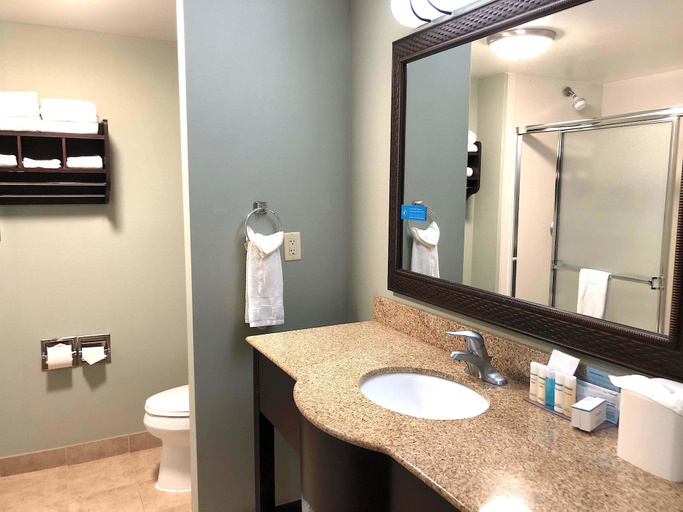 Bathroom 4, Hampton Inn & Suites Detroit-Canton, Wayne