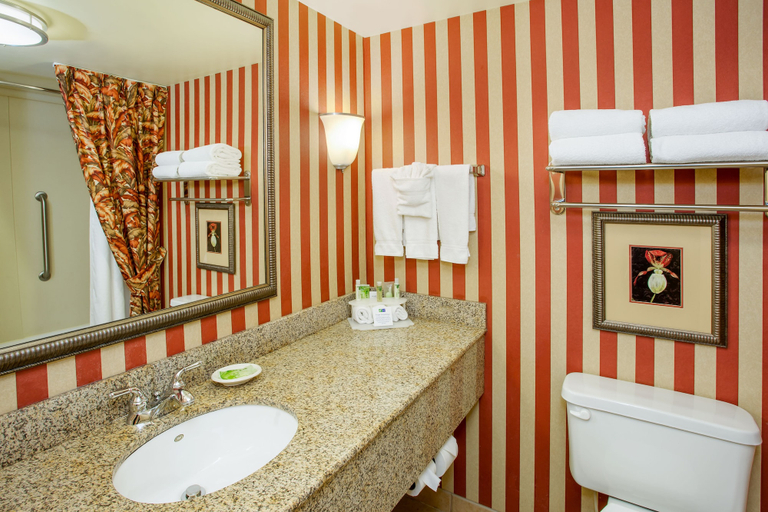 Bathroom 4, Holiday Inn Express & Suites BLOOMINGTON by IHG, Monroe