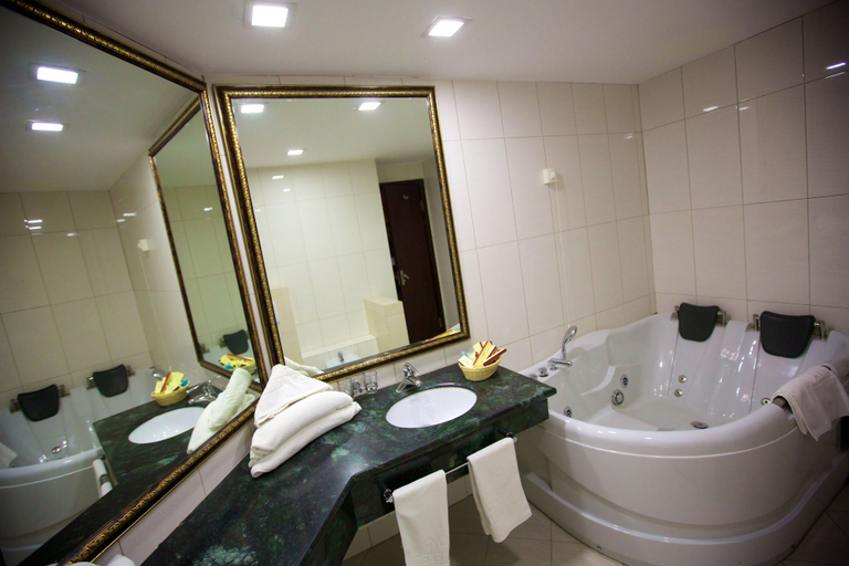 Bathroom, Delta 4, Tulcea