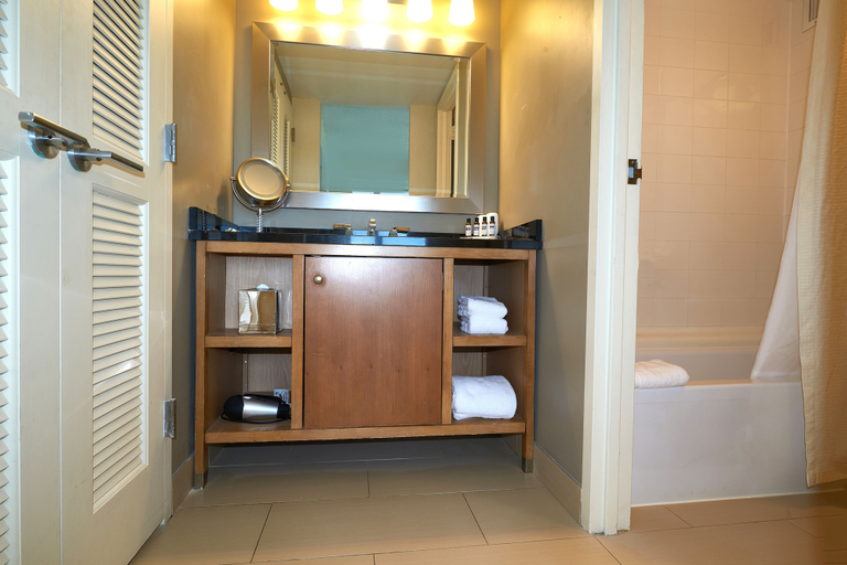 Bathroom 4, Hyatt Regency Lisle near Naperville, Dupage