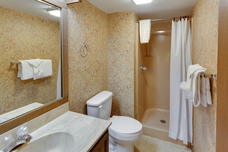 Bathroom 3, Chalet High by Coolvacay, Shenandoah