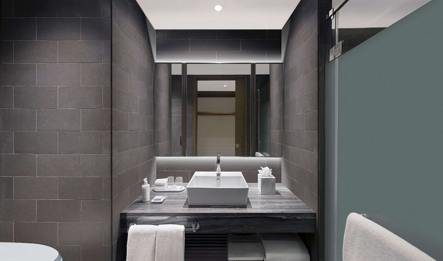 Bathroom 4, Hilton Garden Inn Bengaluru Embassy Manyata Business Park, Bangalore