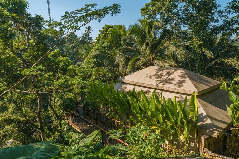 Scenery 6