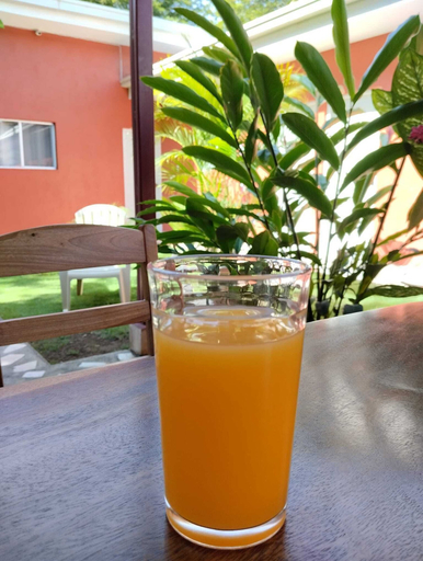Food & Drinks 5, Hotel Munch, Managua