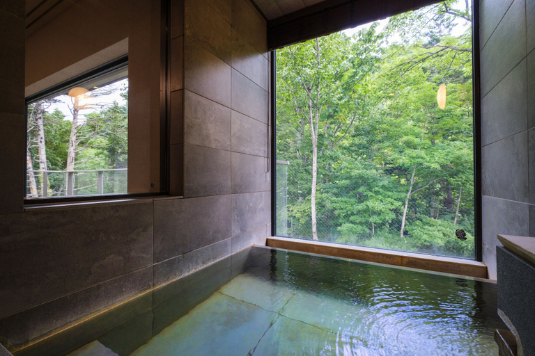 Bathroom 5, Okujozankeionsen Kashogyoen, Sapporo