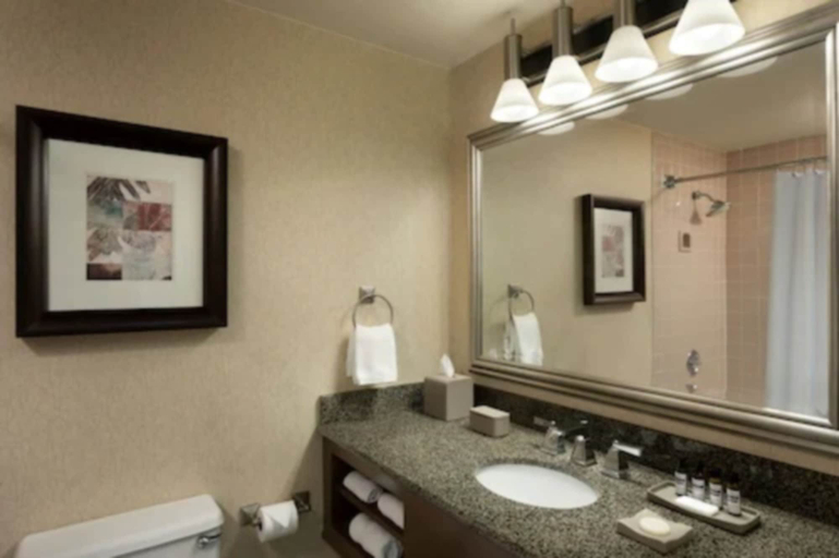 Bathroom 4, Hyatt Regency Houston West, Houston