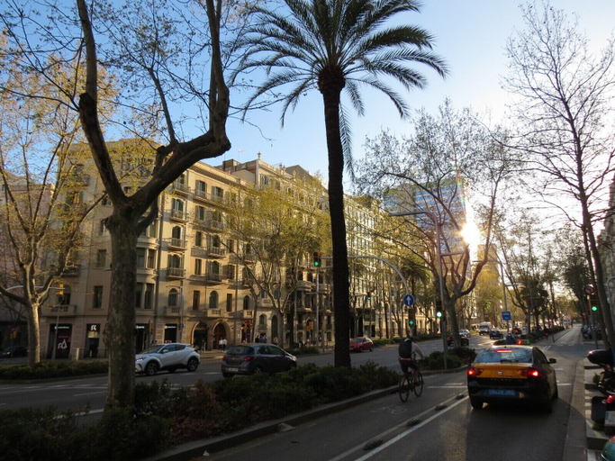 Others 5, Petit Príncep, Barcelona