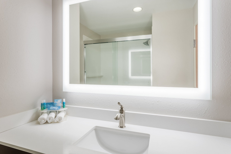 Bathroom 4, Holiday Inn Express & Suites BREMEN by IHG, Haralson