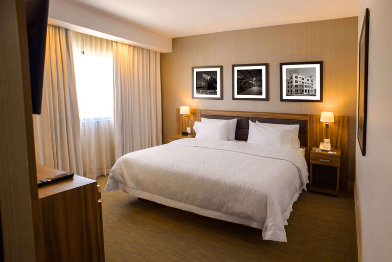 Bedroom 4, Hampton Inn by Hilton Piedras Negras, Piedras Negras