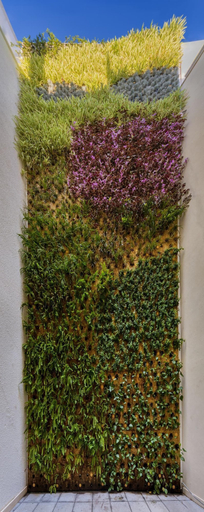 Others 5, Nature by Raidom, Alicante