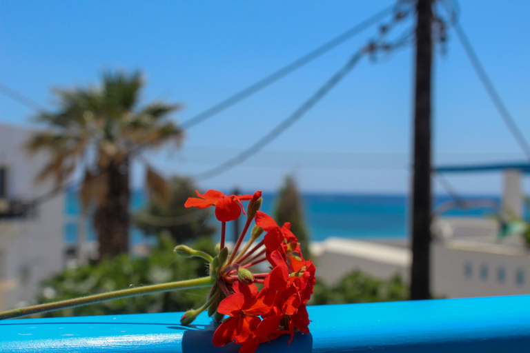 Sport & Beauty 5, Sea View Studios Apartments, South Aegean