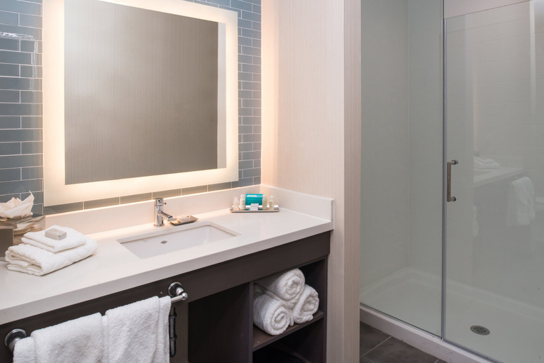 Bathroom 5, Hotel Indigo FRISCO by IHG, Collin