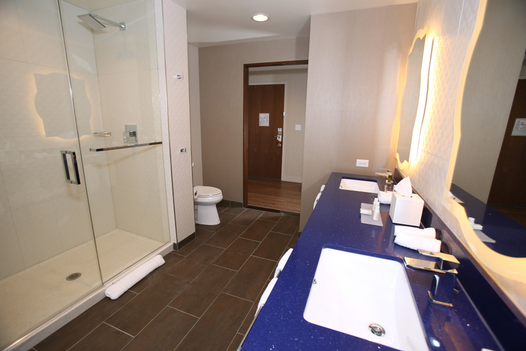 Bathroom 4, Hotel Indigo NAPERVILLE RIVERWALK by IHG, Dupage