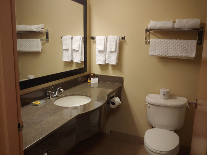 Bathroom 4, Best Western Plus Burlington Inn & Suites, Halton