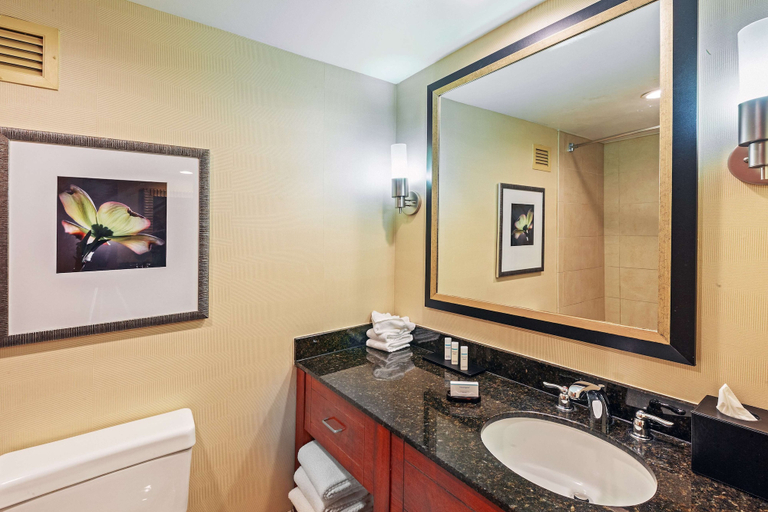 Bathroom 4, Embassy Suites by Hilton Greensboro Airport, Guilford