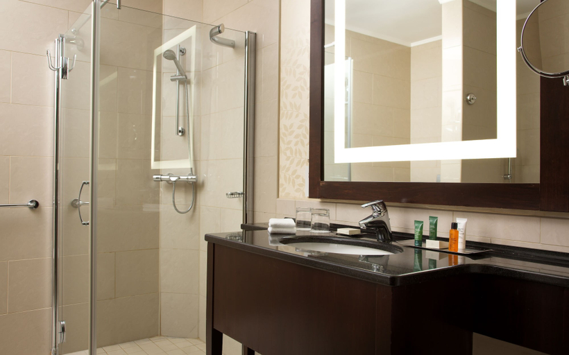 Bathroom 5, Hilton Moscow Leningradskaya, Central