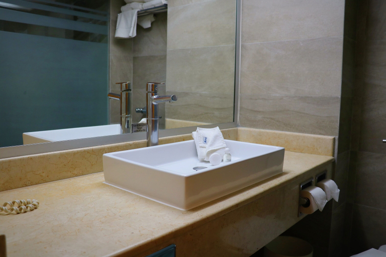 Bathroom 4, Hotel Laffayette Ejecutivo, Guadalajara