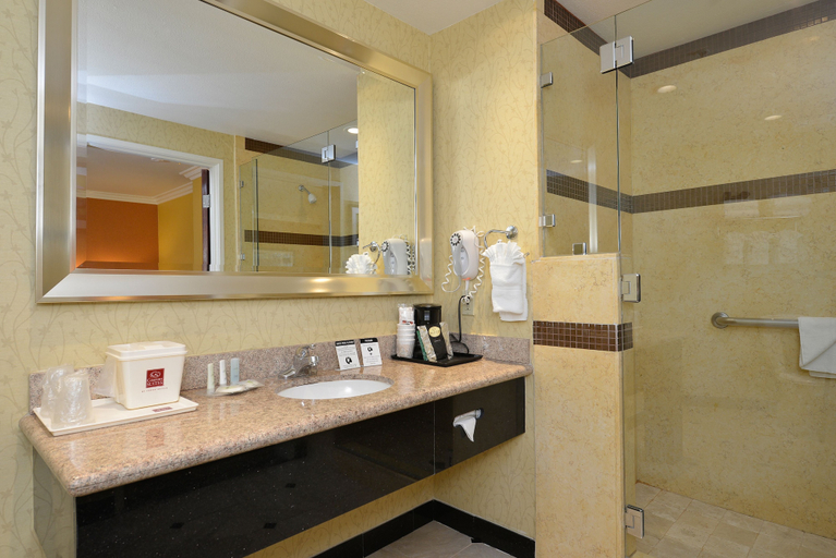 Bathroom 4, Comfort Suites Oceanside Camp Pendleton Area, San Diego