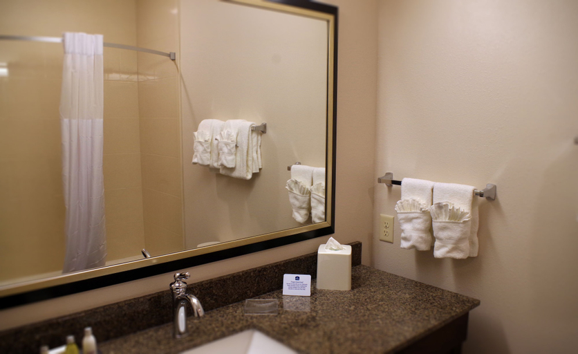 Bathroom 4, Best Western Plus Lincoln Inn & Suites, Lancaster