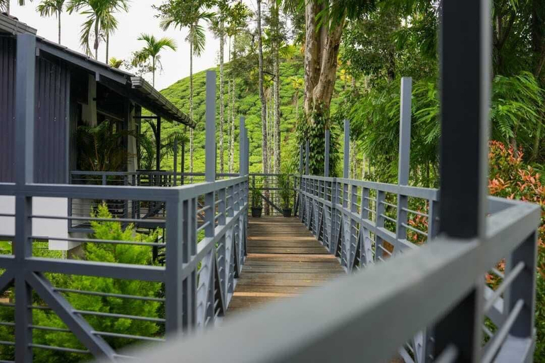Others 5, B'camp Resorts & Homestays, Wayanad