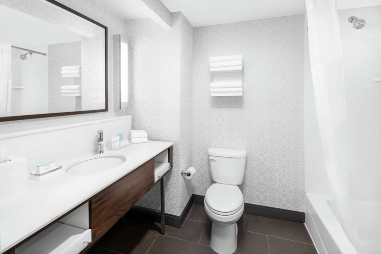 Bathroom 4, Hampton Inn & Suites Chicago Downtown, Cook