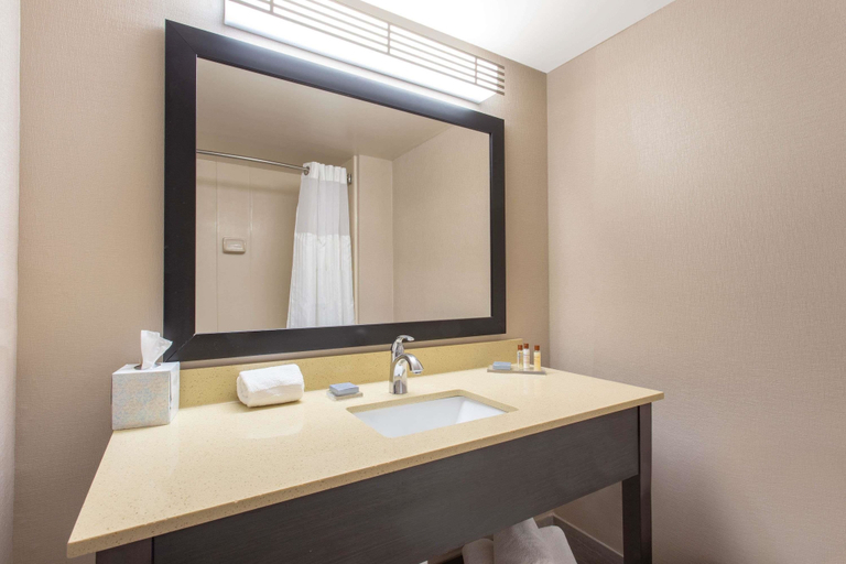 Bathroom 4, Wingate By Wyndham Indianapolis Airport Plainfiel, Hendricks