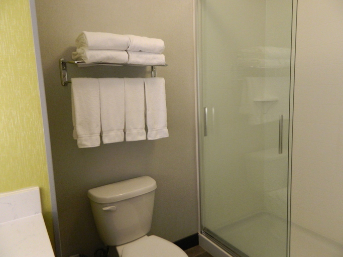 Bathroom 5, Holiday Inn Express & Suites SHIPPENSBURG, Cumberland