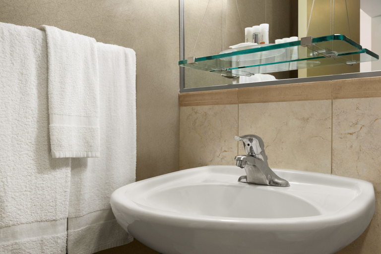 Bathroom 4, The Falls Hotel & Inn, Niagara