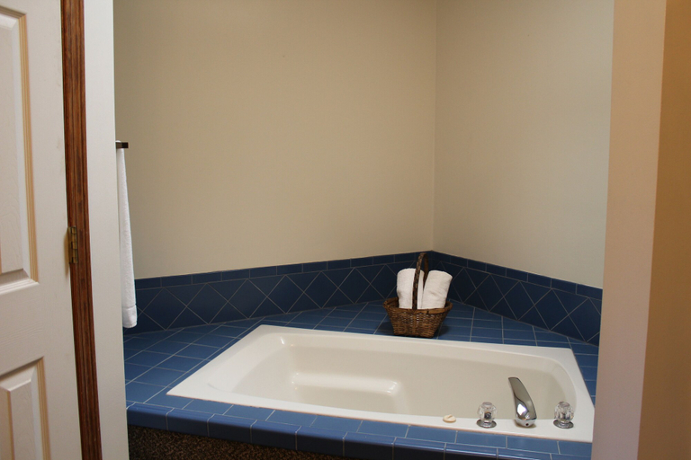 Bathroom 4, Basswood Resort, Kansas City