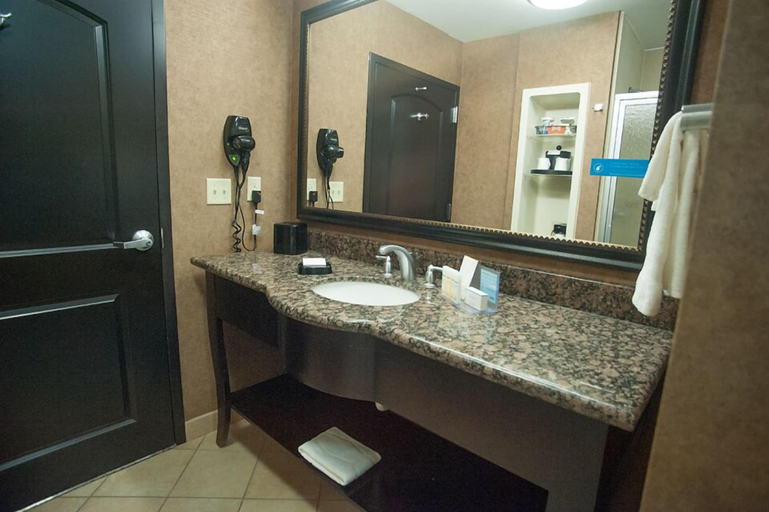Bathroom 4, Hampton Inn & Suites Palestine, Anderson